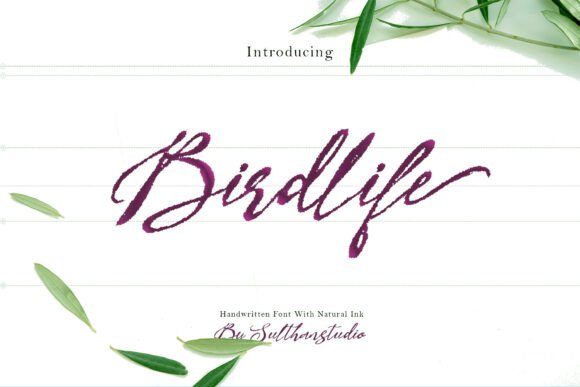 Bird Life Through the Lens of Handwritten Expression
